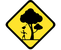 Beware of falling tree limbs