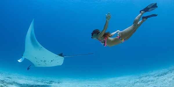 Dive Near Me Freediving crop.png
