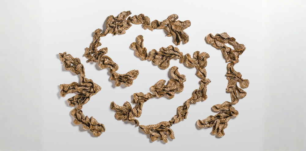 Wollongong Art Gallery awards Sam Gold with the city’s top art prize