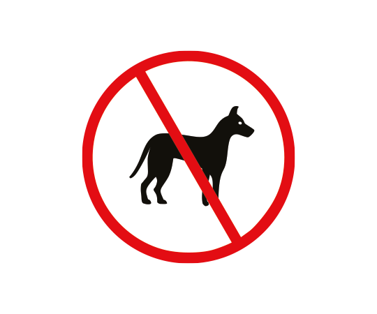 no dogs allowed