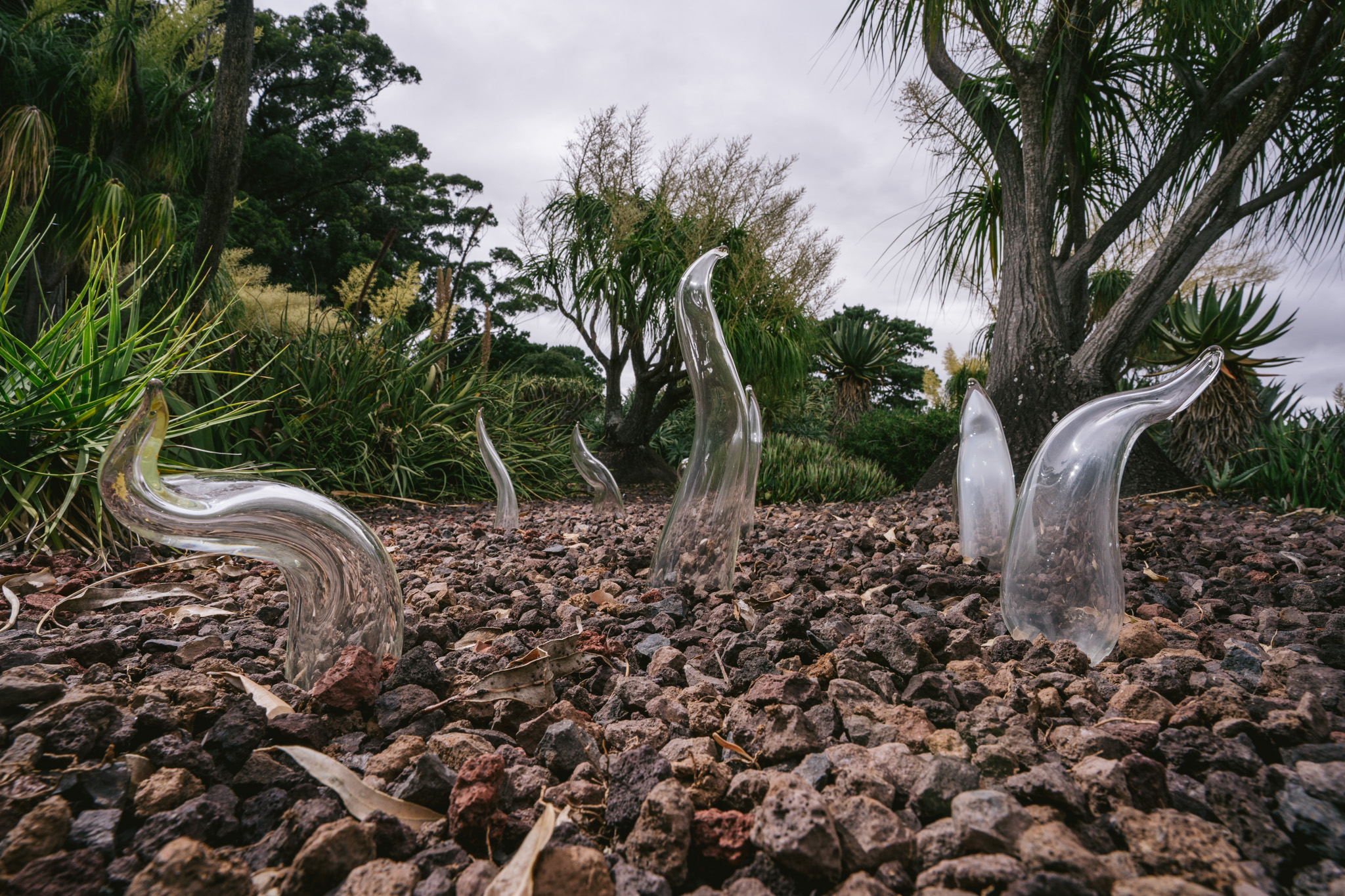 Sculpture in the Garden