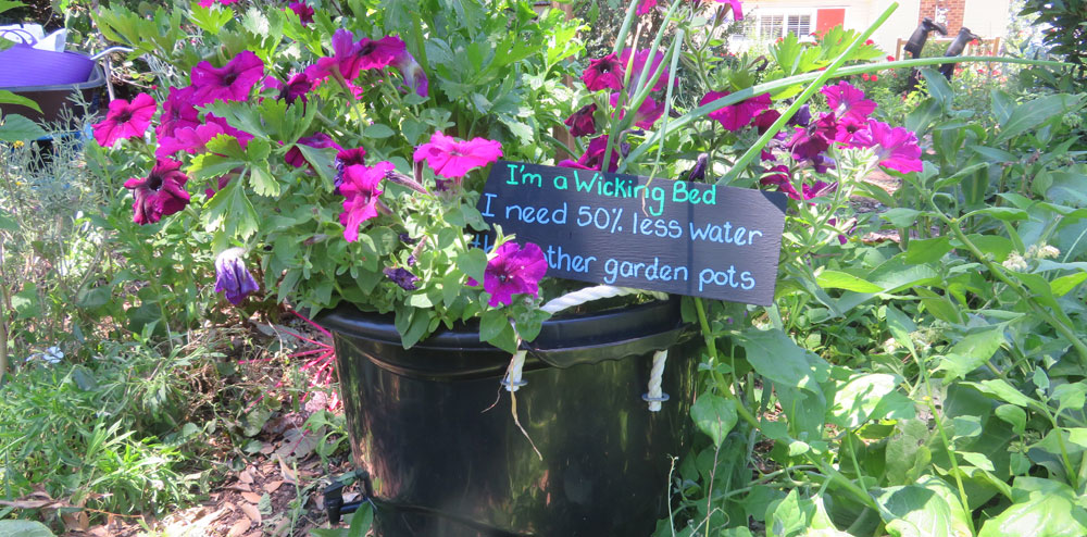 Wicking garden beds