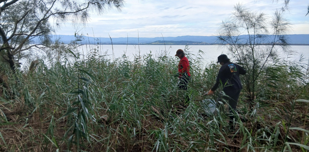 Volunteers attending a Rise & Shine Clean Up_Plastic Free July at Lake Illawarra_Wollonong City Council