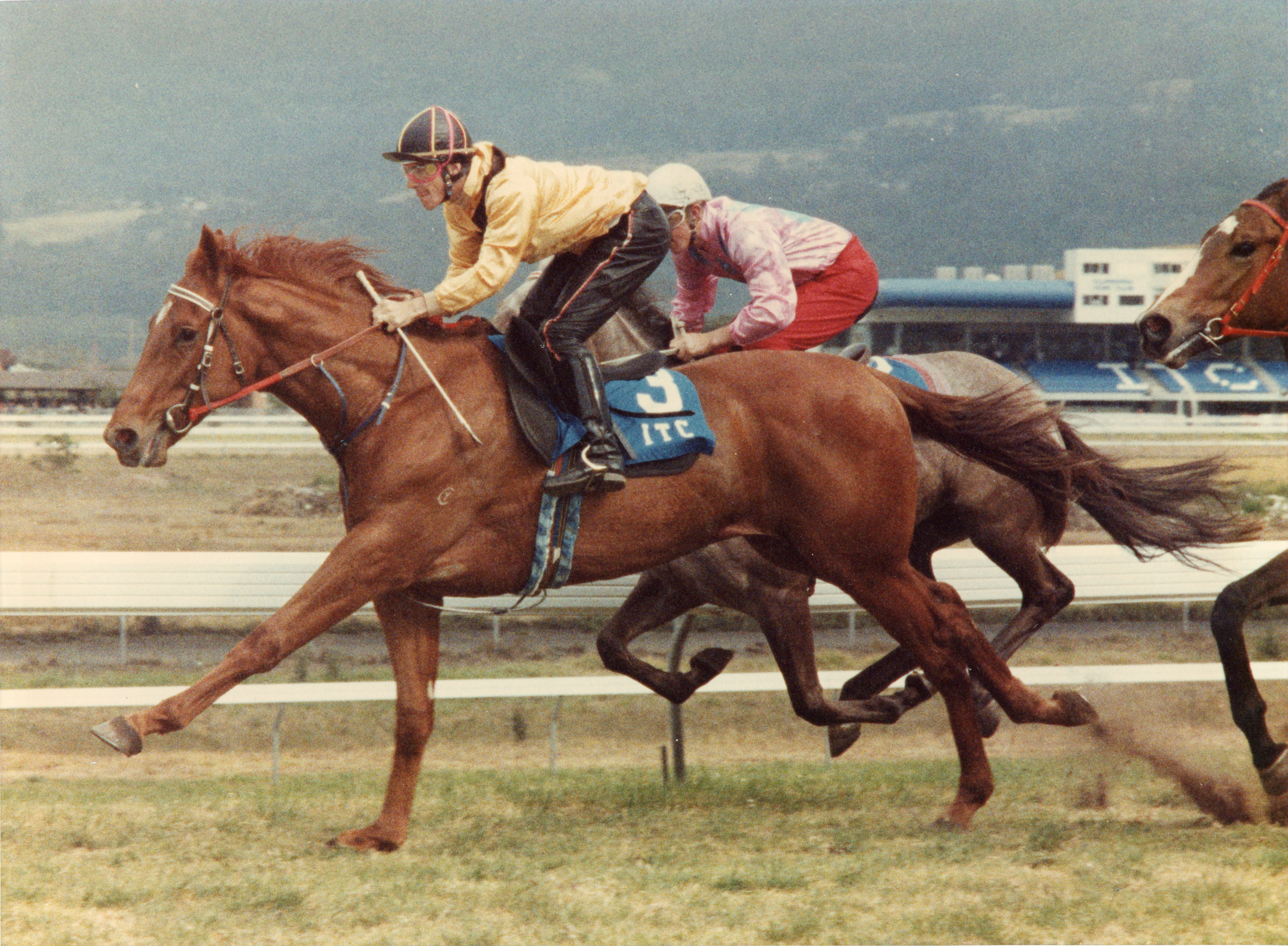 horse racing at kembla grange