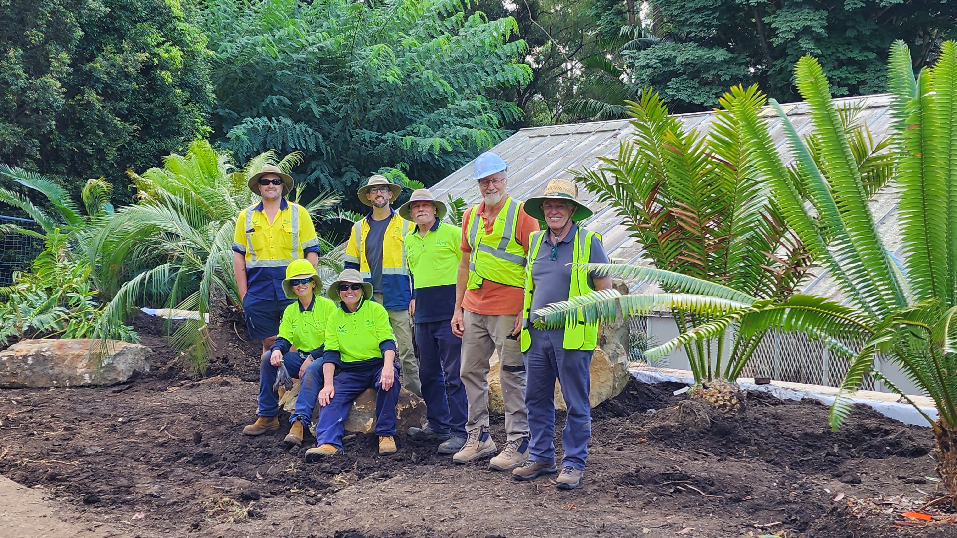 Cycad relocation helpers