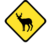 Deer warning