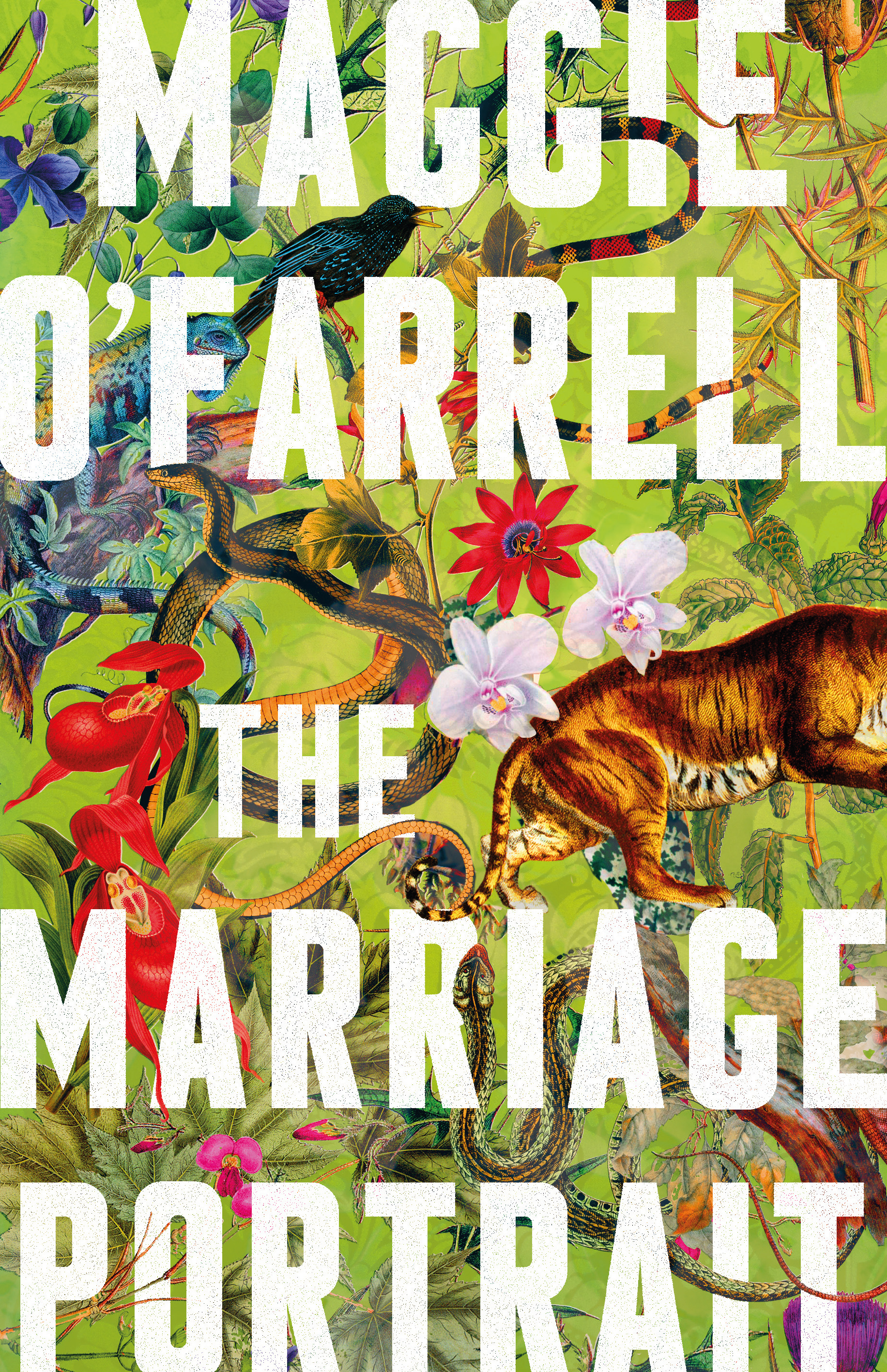 The marriage portrait by Maggie O’Farrell