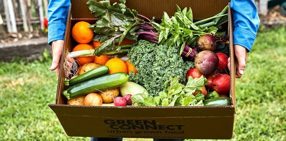 Green Connect Farm A box of fresh produce being carried