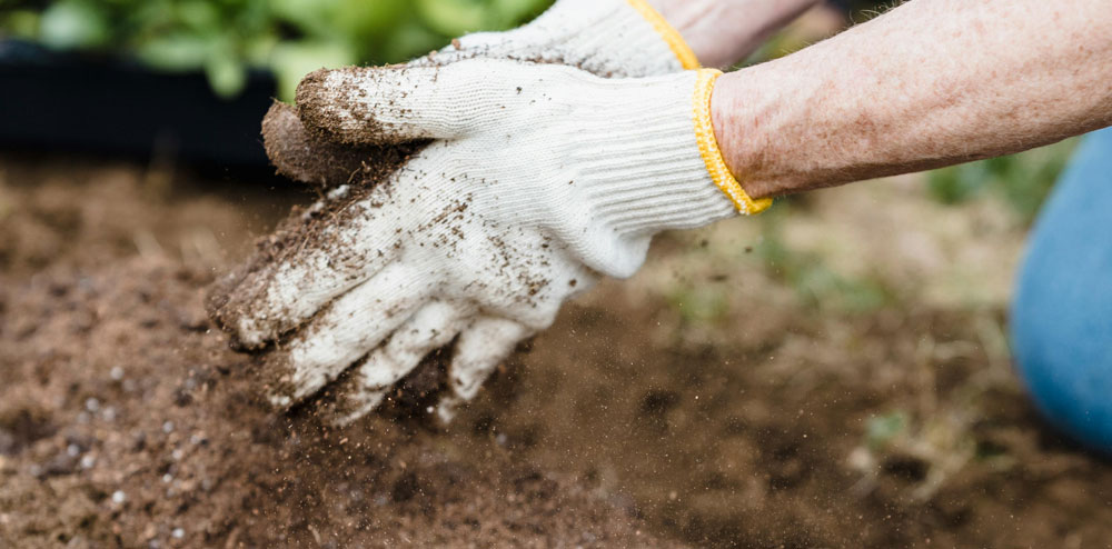 composting.jpg