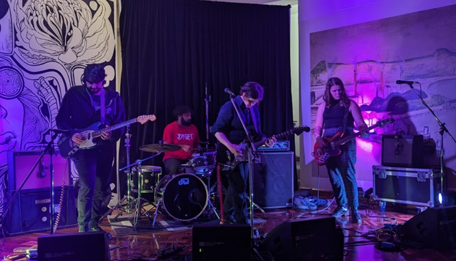Second Idol performing at Wollongong Art Gallery